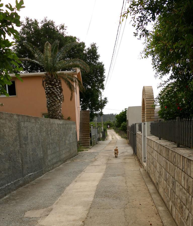 Apartmani Scepanovic 수토모레 외부 사진